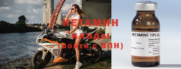 прущие грибы Саяногорск