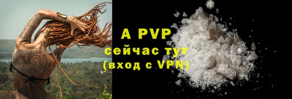 прущие грибы Саяногорск
