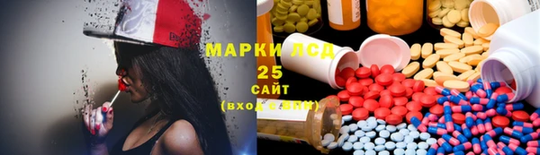 прущие грибы Саяногорск