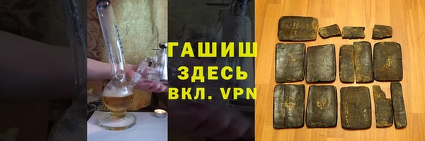 прущие грибы Саяногорск