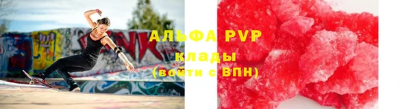 прущие грибы Саяногорск