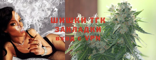 прущие грибы Саяногорск