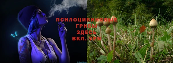 Альфа ПВП Сафоново