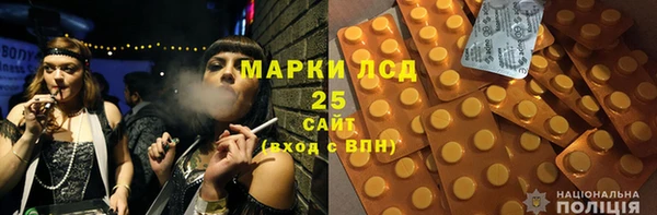 прущие грибы Саяногорск