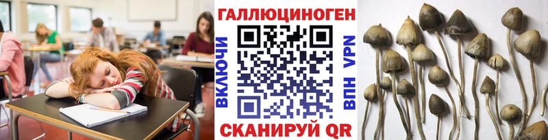 Галлюциногенные грибы GOLDEN TEACHER  Трубчевск 